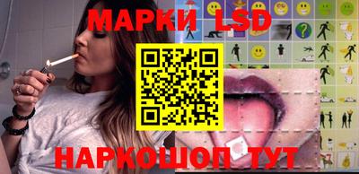 кокс Можга