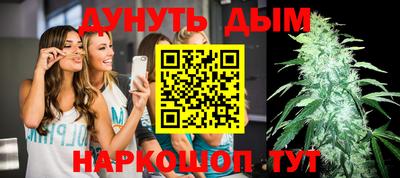 кокс Можга