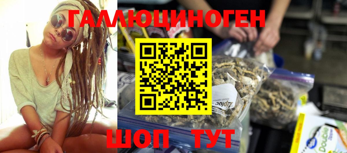 Галлюциногенные грибы Cubensis Удомля